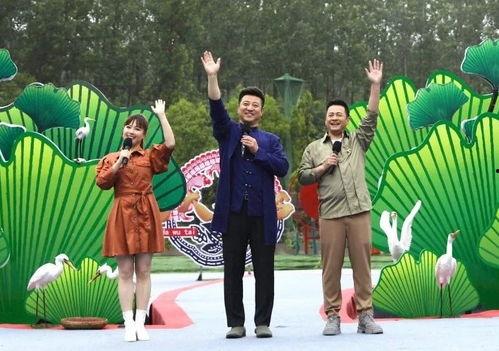 黄山游客爆料最新消息视频,惊现神秘奇观，视频揭秘黄山最新奇景